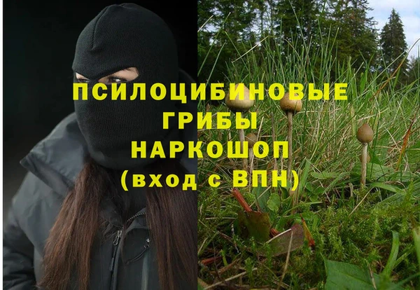 первитин Вязьма